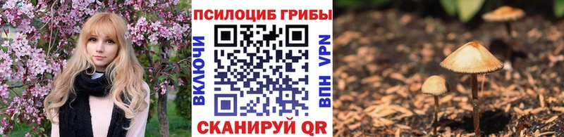 МЕГА как войти  Электроугли  Псилоцибиновые грибы Magic Shrooms 
